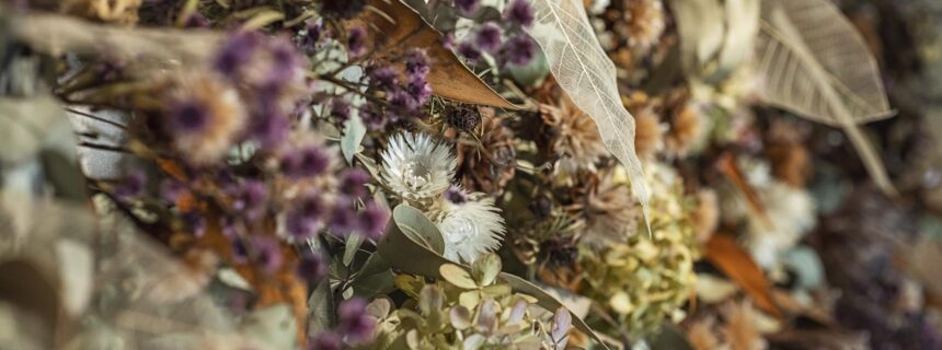 DIO CLINIC 横浜院