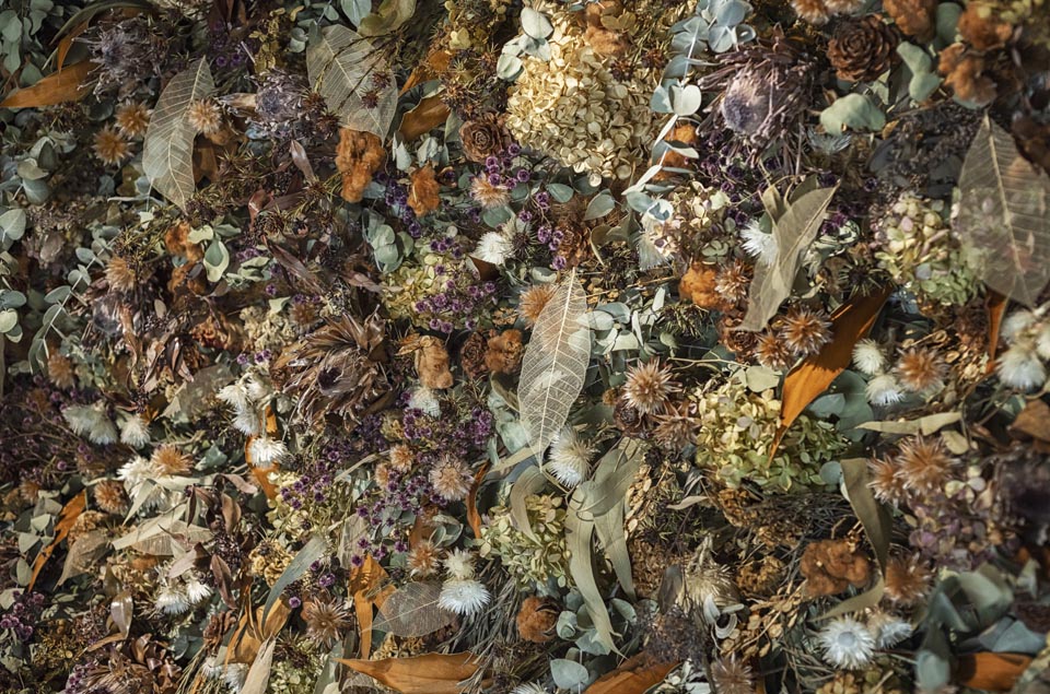 CPO設計　病院・クリニック施工事例「DIO CLINIC 横浜院」