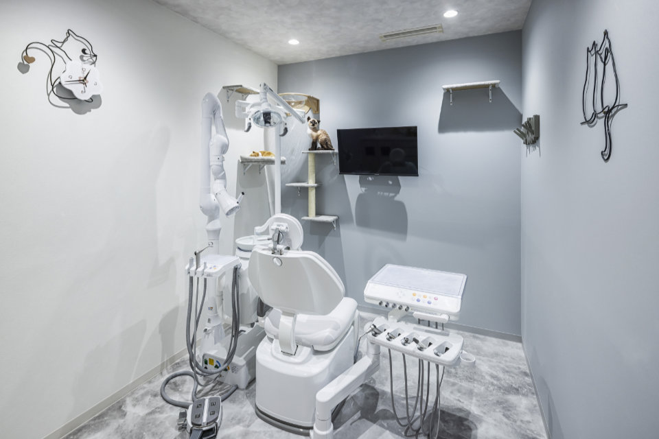 CPO設計　歯科・デンタルクリニック施工事例「熊谷おとなこども歯科・矯正歯科 アズイースト院」