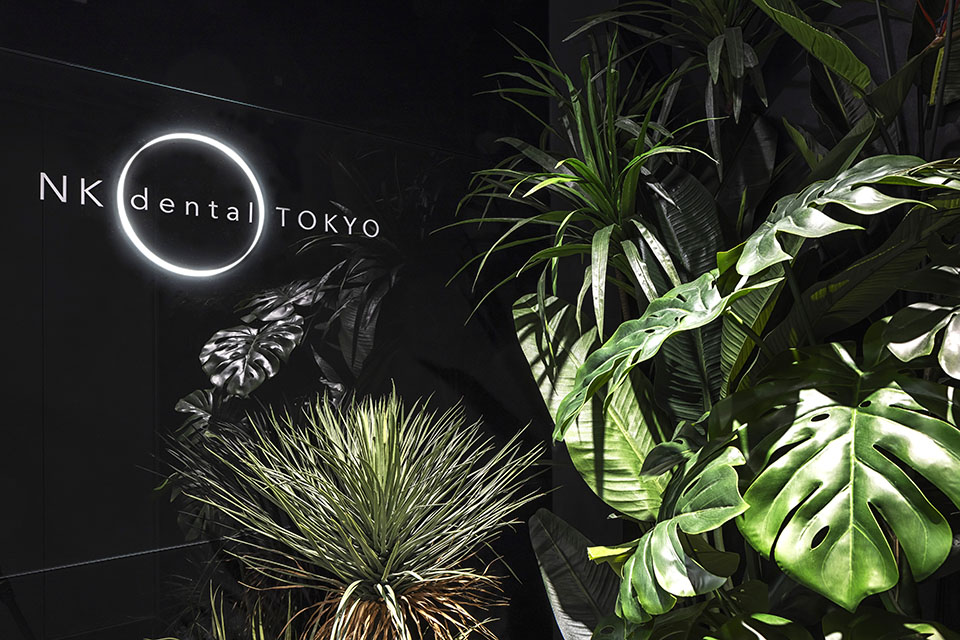 NK dental TOKYO - 画像2