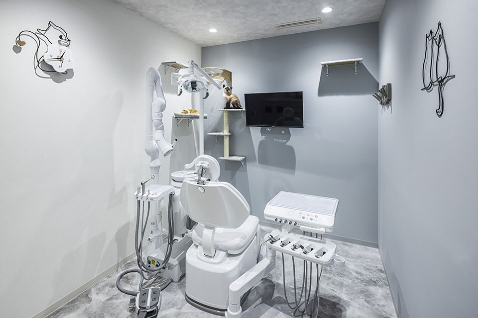 熊谷おとなこども歯科・矯正歯科 アズイースト院 - 画像10