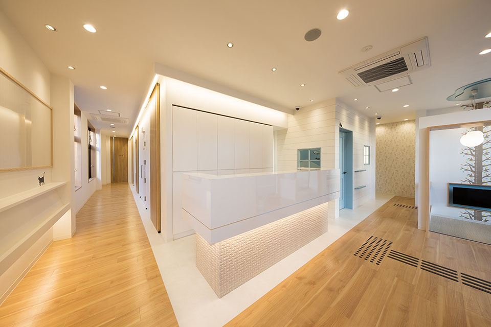 すみかわデンタルクリニック - 画像3